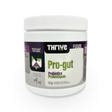 THRIVE PRO GUT 150g