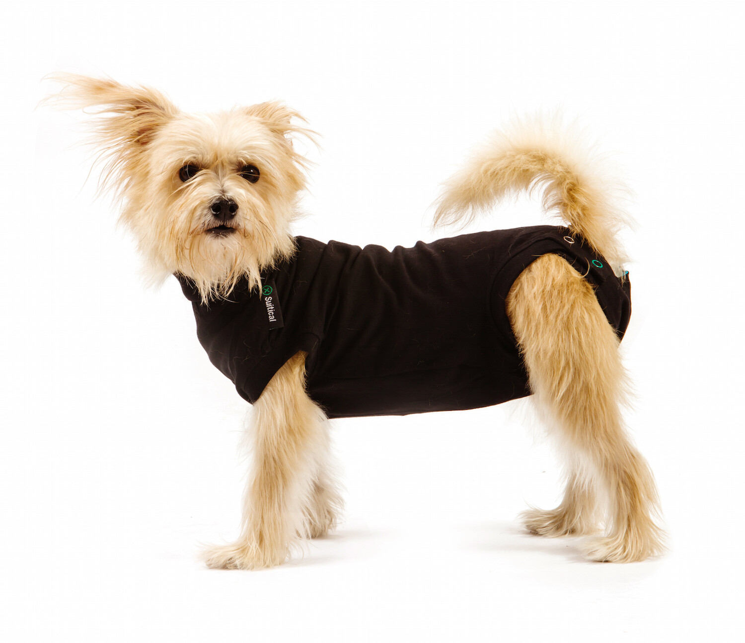 SUITICAL RECOVERY SUIT DOG SIZE XS