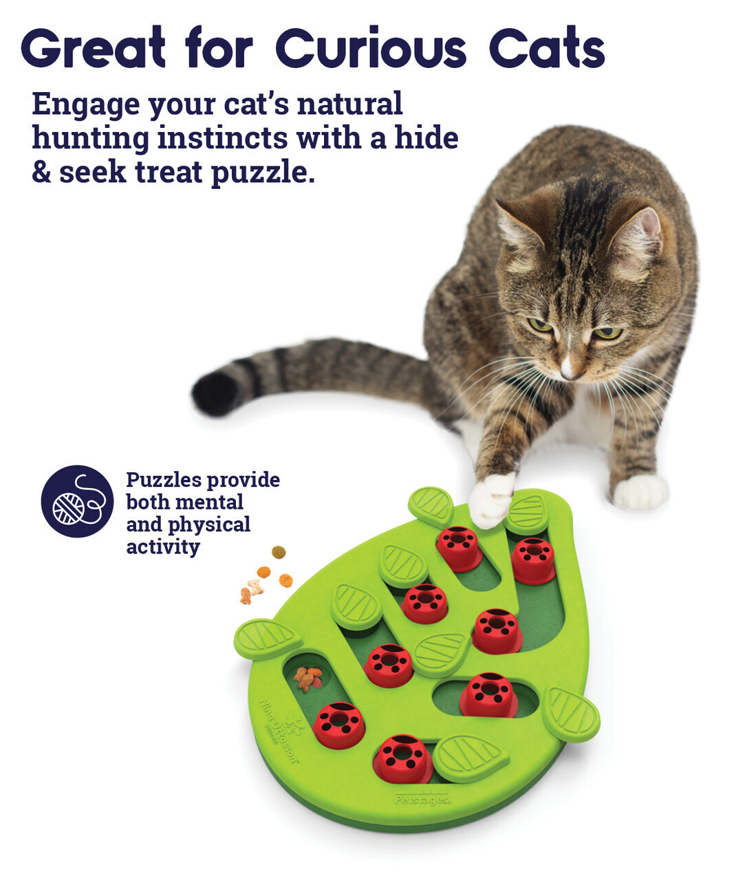 OUTWARD HOUND BUGGIN OUT CAT PUZZLE
