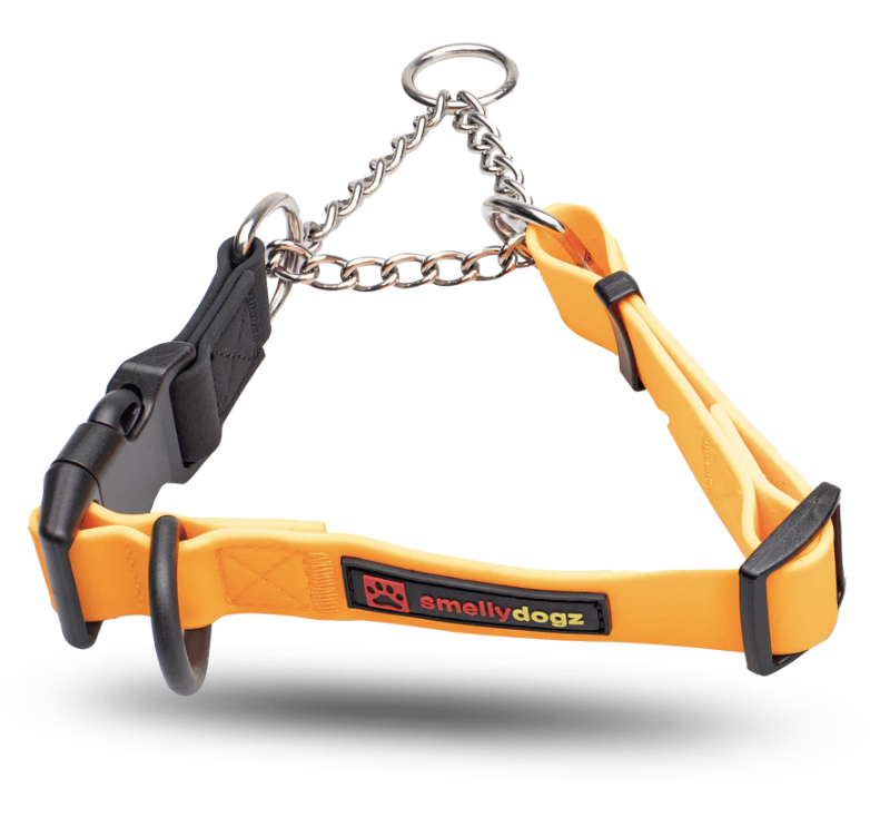 SMELLYDOGZ ADJUSTABLE MARTINGALE COLLAR ORANGE 3/4&quot; WIDE SMALL