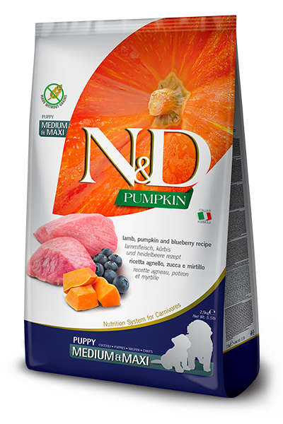FARMINA N&amp;D PUPPY PUMPKIN LAMB &amp; BLUEBERRY MED/MAX 26.4lb/12kg