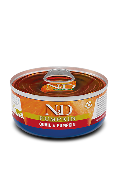 FARMINA N&amp;D CAT PUMPKIN QUAIL &amp; POMEGRANATE 2.5oz/70g