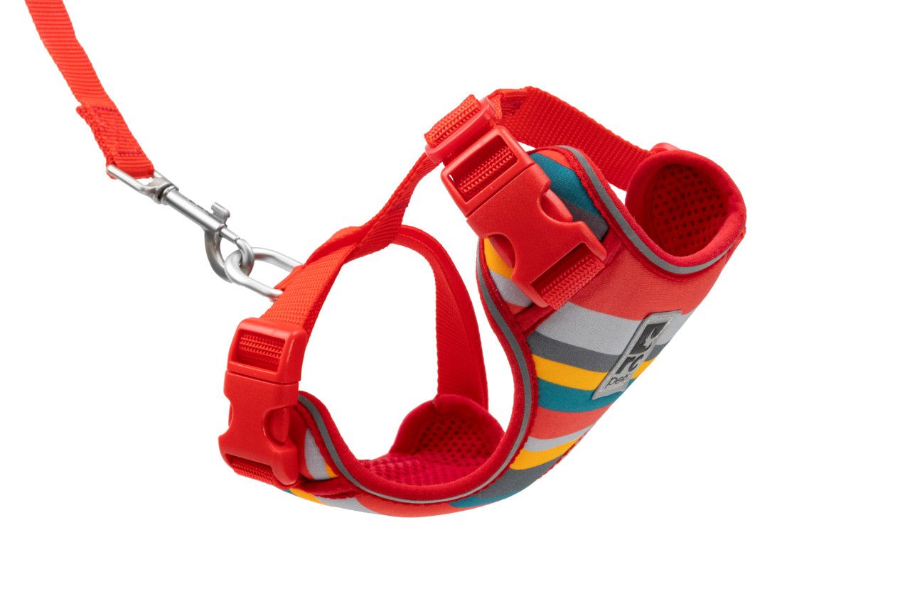 RC PETS ADVENTURE KITTY HARNESS MULTI STRIPES MEDIUM