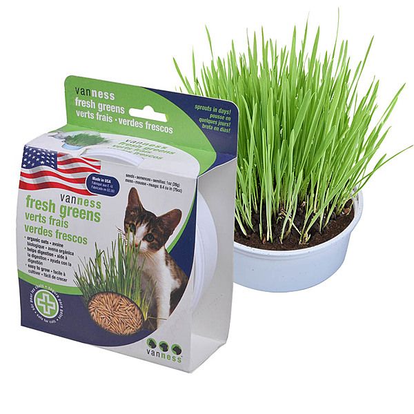 VAN NESS OAT GARDEN CAT GRASS KIT