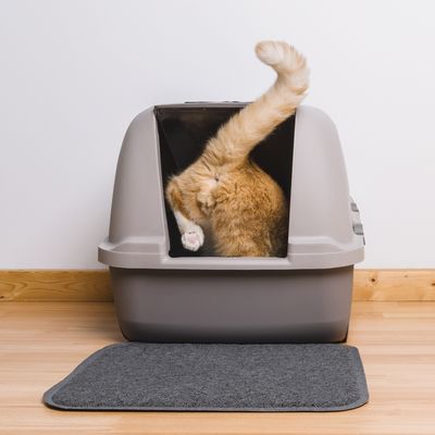 LITTER BOXES, MATS &amp; LINERS