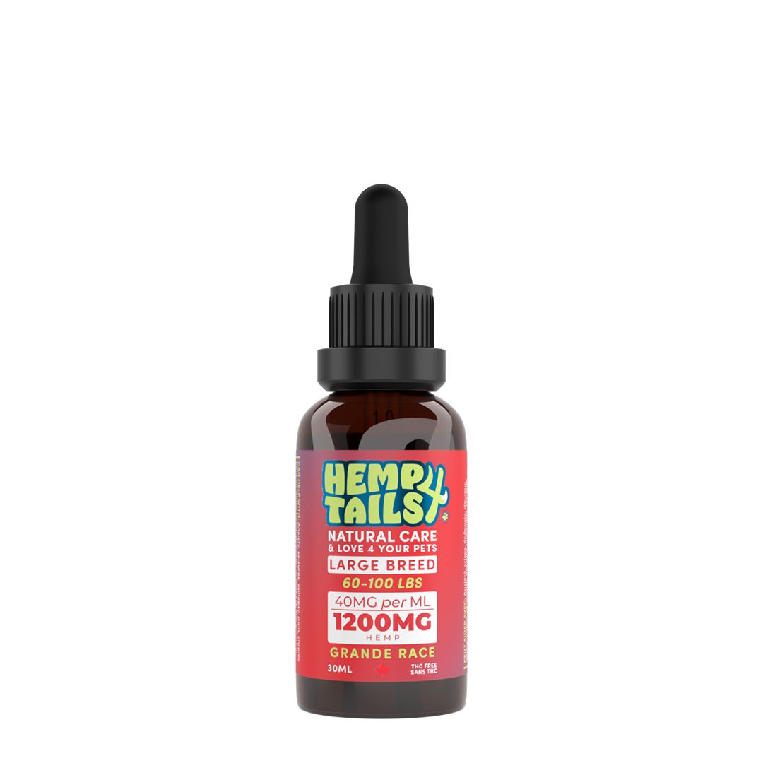 HEMP 4 TAILS OIL LARGE BREED 30ml