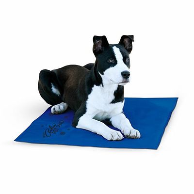K&amp;H COOLIN PAD BLUE LARGE 20&quot;x36&quot;