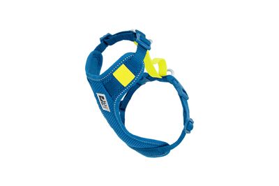 RC PETS MOTO CONTROL ARCTIC BLUE &amp; TENNIS MEDIUM
