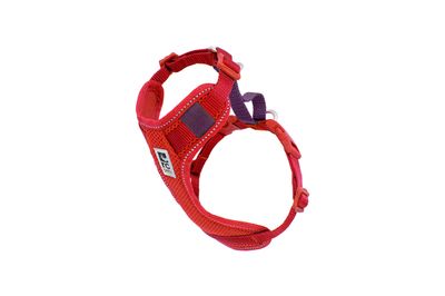 RC PETS MOTO CONTROL GOJI BERRY &amp; BURGUNDY MEDIUM
