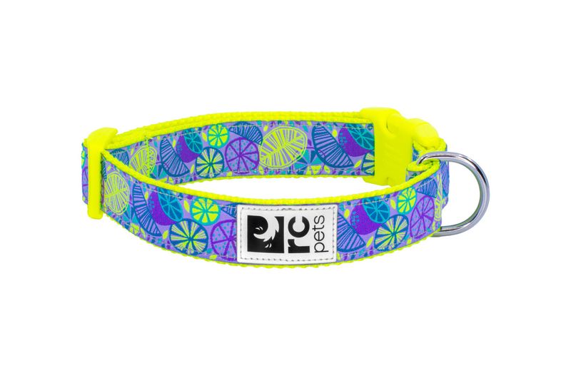 RC PETS CLIP COLLAR CITRUS 1&quot; WIDE LARGE 15&quot;-25&quot;