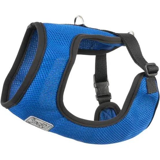 RC PETS CIRQUE HARNESS COBALT LARGE