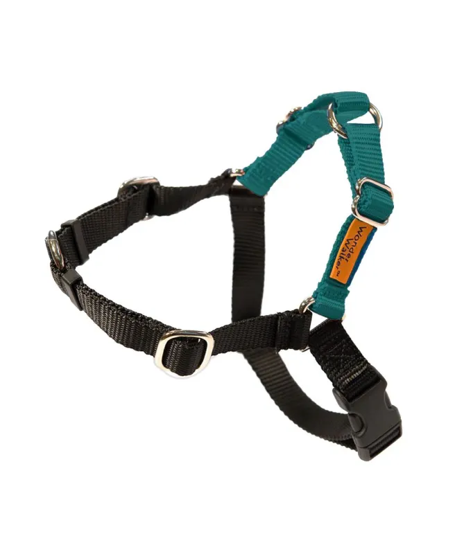 WONDER WALKER HARNESS TEAL SMALL