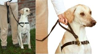 WONDER WALKER DOUBLE HANDLE SERVICE LEASH 5/8&quot; WIDE 3.8&#39;-5.6&#39; LONG