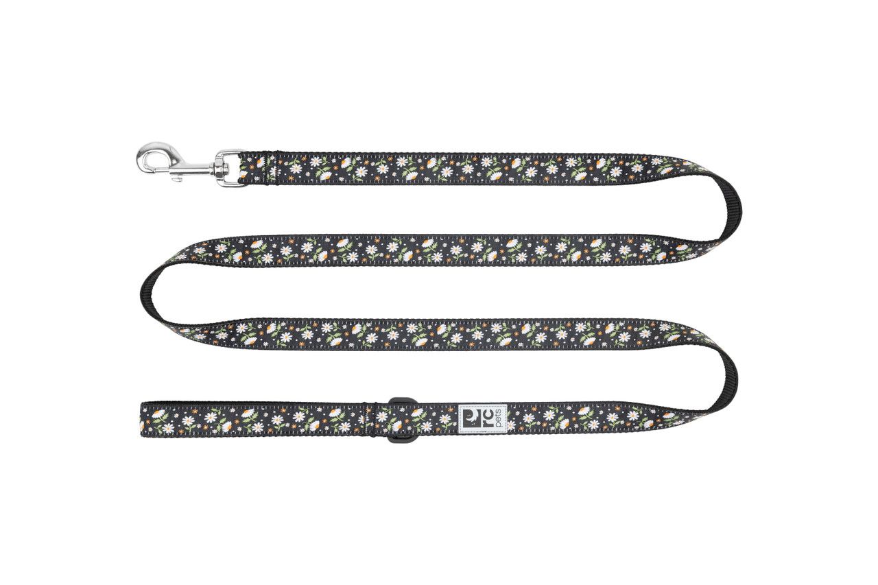 RC PETS DOG LEASH DAISIES 3/4&quot;x6&#39;