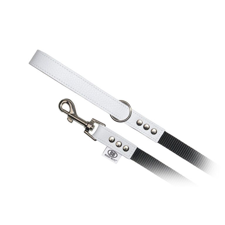 BUDDY BELT NYLON LEASH WHITECAP 3/4&quot; X 4&#39;