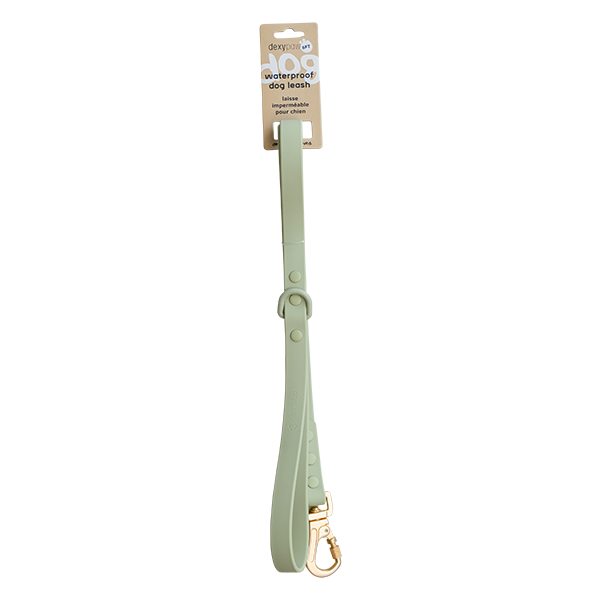 DEXYPAWS WATERPROOF LEASH SAGE GREEN 3/4&quot;x6&#39;