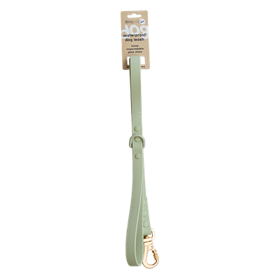 DEXYPAWS WATERPROOF LEASH SAGE GREEN 3/4&quot;x6&#39;