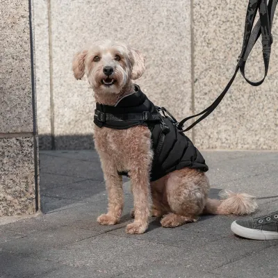 CANADA POOCH THE HARNESS PUFFER