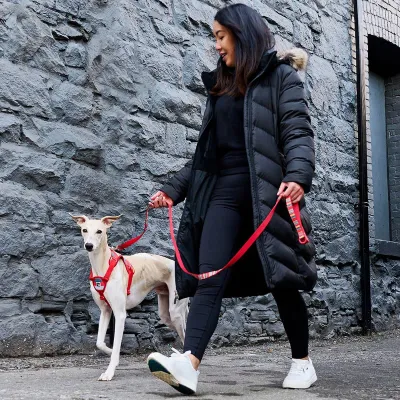 RC PETS FORTE STEP IN HARNESS