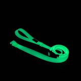 WOOF CONCEPT LEASH AQUA LUMEN GLOW IN THE DARK 0.8&quot;x6&#39;