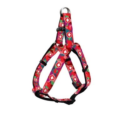 WOOF CONCEPT STEP IN HARNESS TRUE NORTH MEDIUM