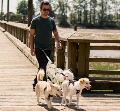 COUPLER LEASH