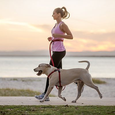 HANDS FREE LEASH