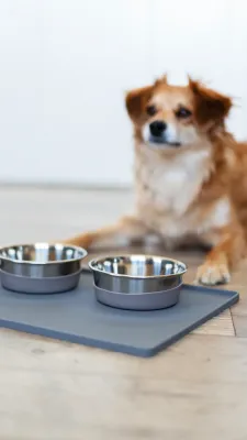 BOWLS &amp; MATS
