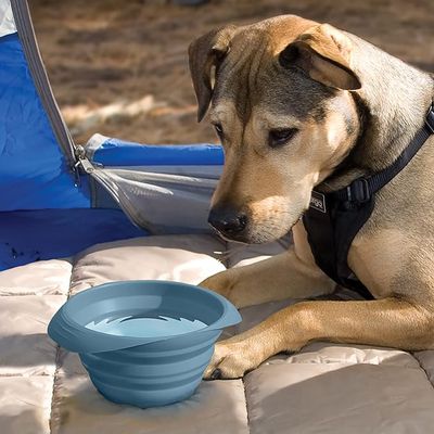 BOTTLES &amp; COLLAPSIBLE BOWLS