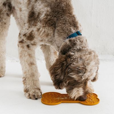LICK MATS