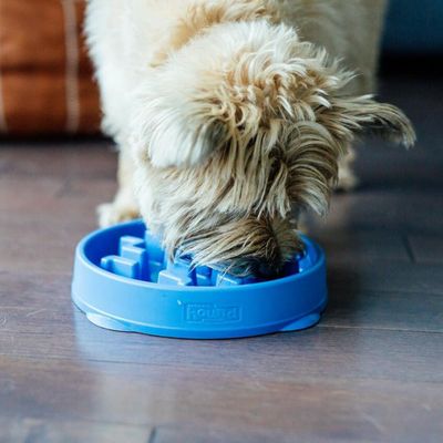 SLOW FEEDER BOWLS