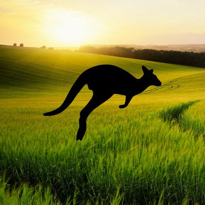 KANGAROO