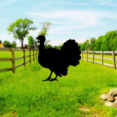 TURKEY