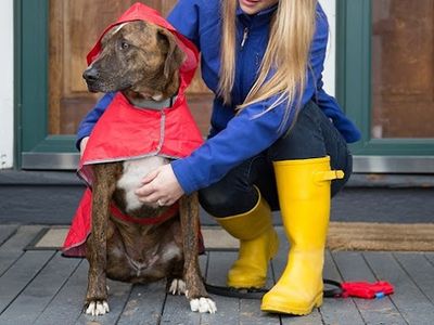 RC PETS PACKABLE RAIN PANCHO
