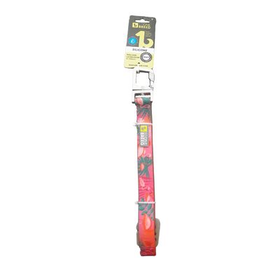 BEONEBREED PINK FLAMINGO SILICONE LEASH 1&quot;x5&#39;