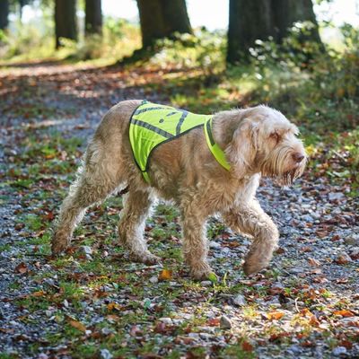 HUNTER SAFETY VEST