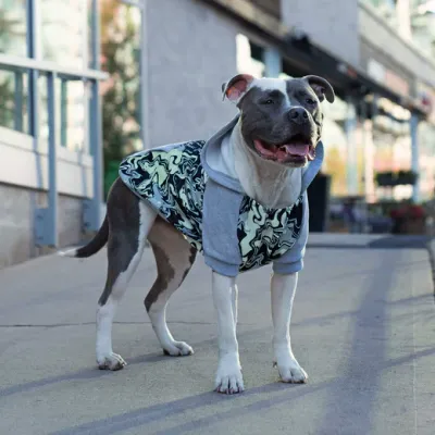 CANADA POOCH WHATEVER THE WEATHER HOODIE