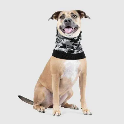 CANADA POOCH SNOOD