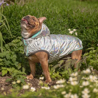 GF PET REVERSIBLE RAINCOAT