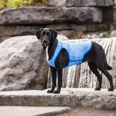 COOLING VESTS