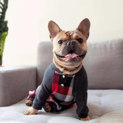 CANADA POOCH FROSTY FLEECE SWEATSUIT