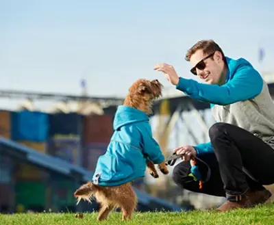 RC PETS REVOLVE HOODIE