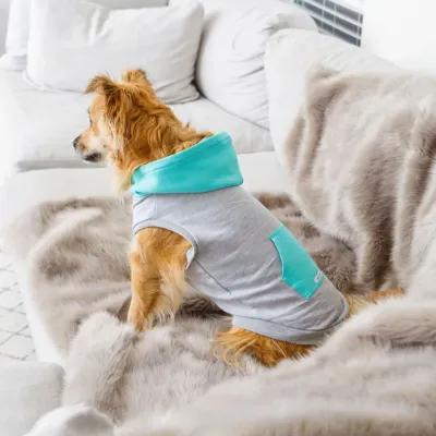 SHARPER BARKER HOODIE&#39;S