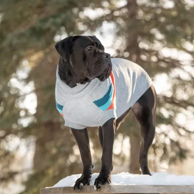 GF PET ALPINE SWEATER