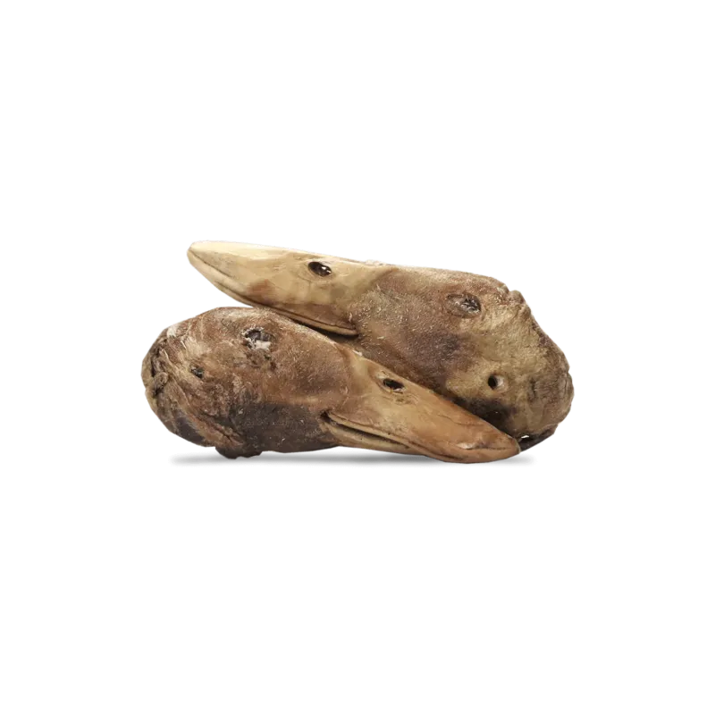 VITAL ESSENTIALS FREZZE DRIED DUCK HEAD