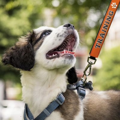 LEASH WRAP