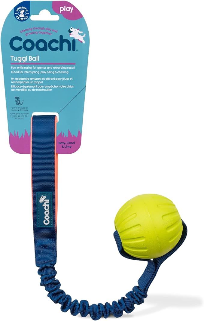 COMPANY OF ANIMALS COACHI PLAY TUGGI BALL