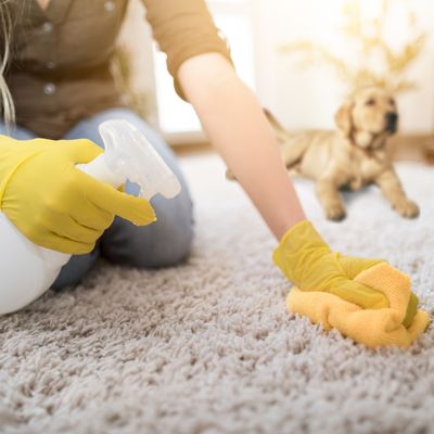 CLEANING SPRAYS