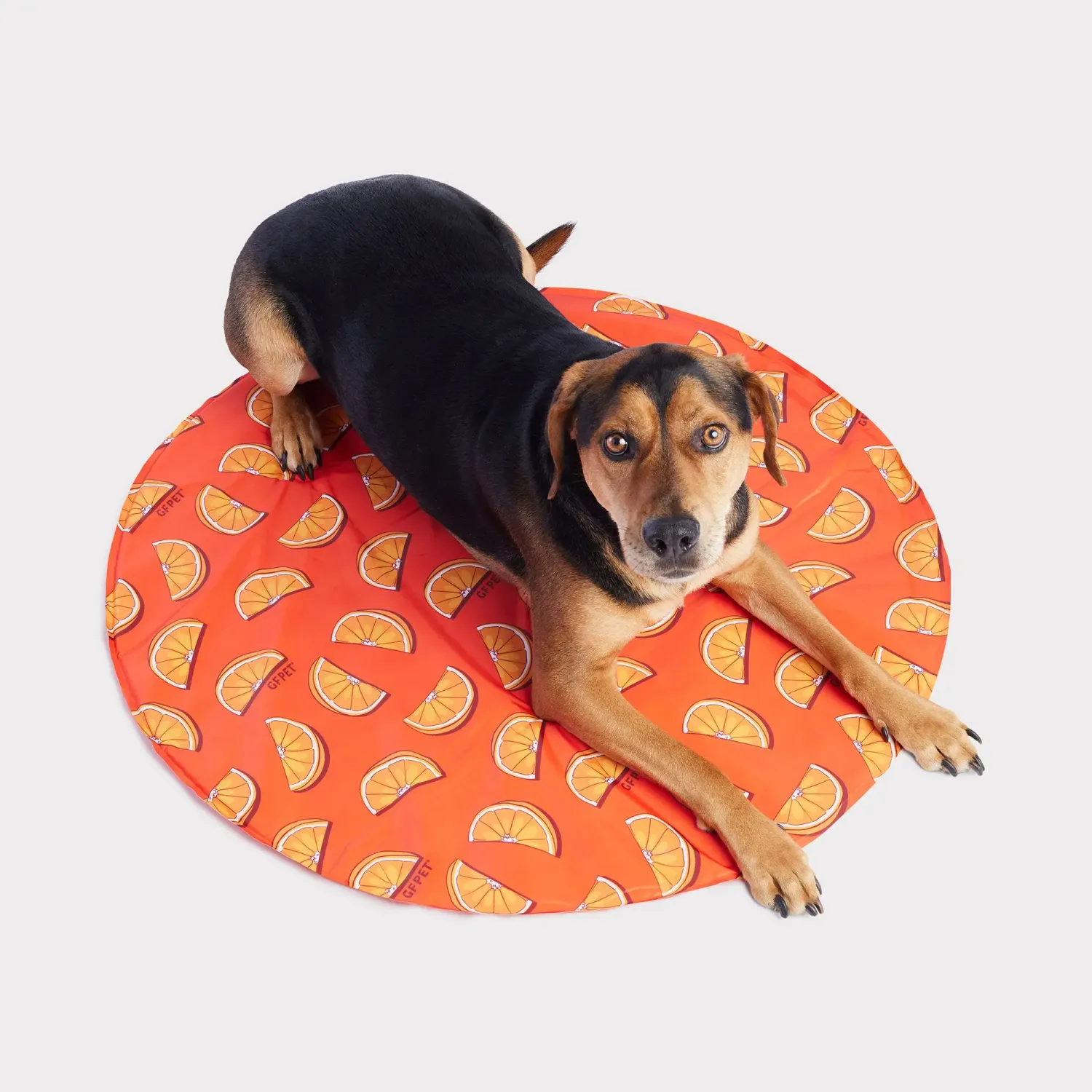 GF PET ROUND ICE MAT ORANGE 32&quot;