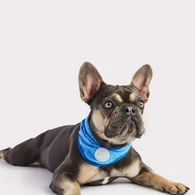 COOLING BANDANA&#39;S